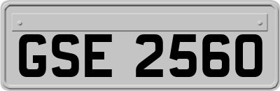 GSE2560