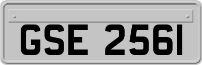 GSE2561