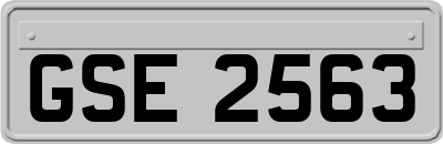 GSE2563