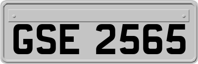 GSE2565