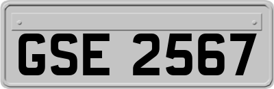 GSE2567