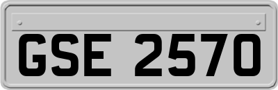 GSE2570