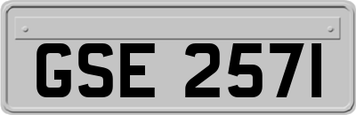 GSE2571