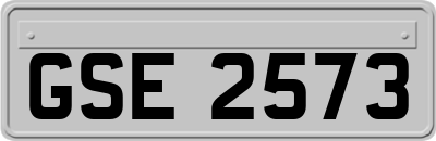 GSE2573