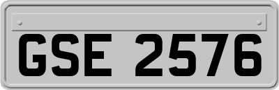 GSE2576