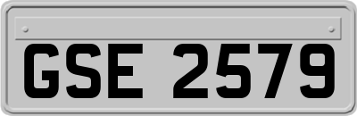 GSE2579