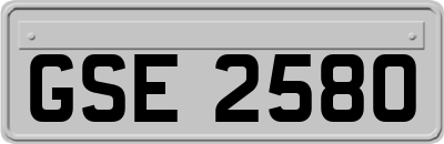 GSE2580