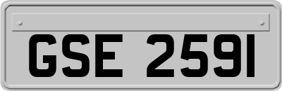 GSE2591