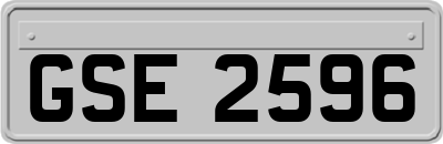 GSE2596
