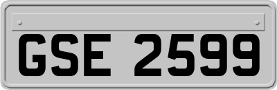 GSE2599
