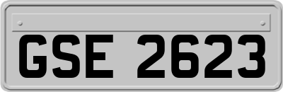 GSE2623