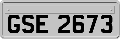 GSE2673