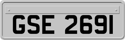 GSE2691