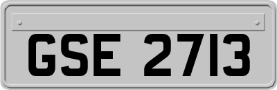 GSE2713