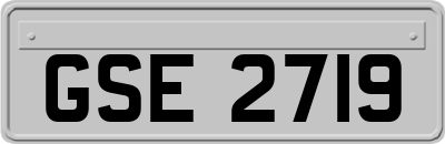 GSE2719