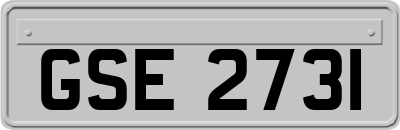 GSE2731