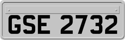 GSE2732
