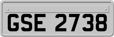 GSE2738