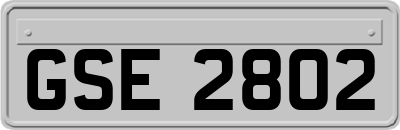 GSE2802