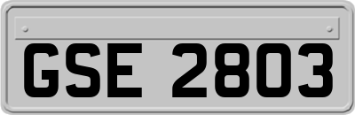 GSE2803
