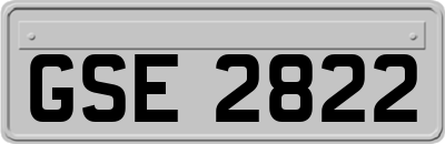 GSE2822