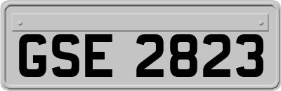 GSE2823