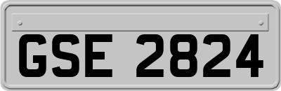 GSE2824