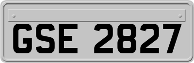 GSE2827