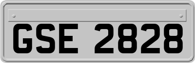 GSE2828