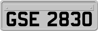 GSE2830