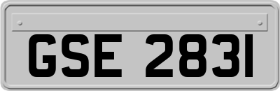 GSE2831
