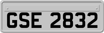 GSE2832