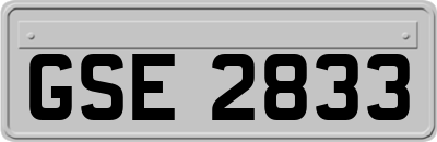 GSE2833