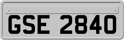 GSE2840