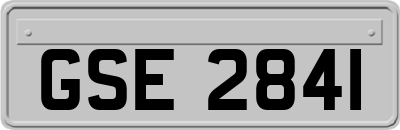 GSE2841