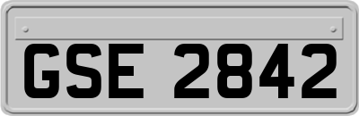 GSE2842
