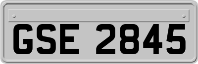 GSE2845