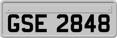 GSE2848