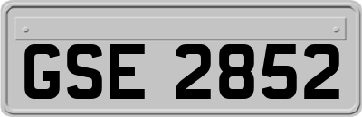 GSE2852
