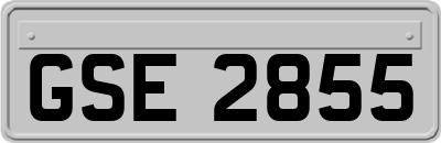 GSE2855
