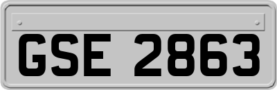 GSE2863