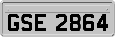 GSE2864