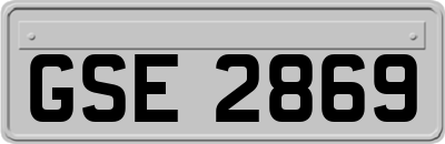 GSE2869