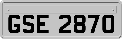 GSE2870