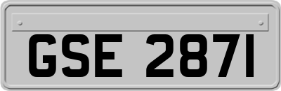GSE2871