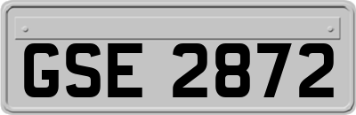 GSE2872