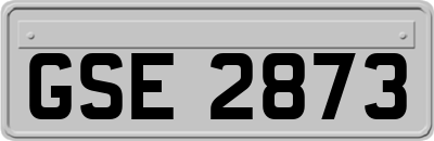 GSE2873