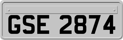 GSE2874