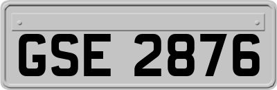 GSE2876