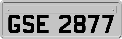 GSE2877